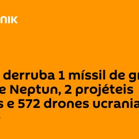 50307674.jpg