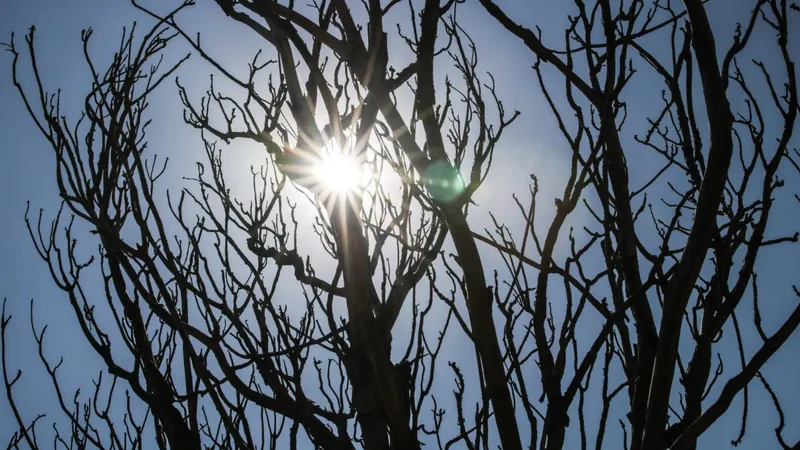 Temperaturas máximas devem ficar até 5º acima da média em cidades do interior do Brasil