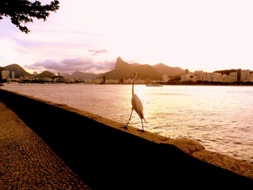 10356716553 a18e7c74ed o 10 Lugares para assistir ao pôr do sol no Rio de Janeiro