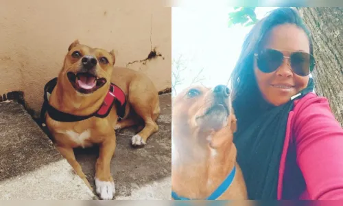 'Kuase', 'Gabiru' e 'Biriri': pets de Apucarana ganham nomes curiosos