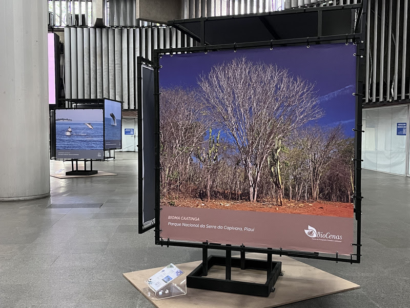 unnamed 72 Mostra 'Diversidade Ambiental: Ciência e Arte' fica em cartaz na estação Carioca até 30 de junho