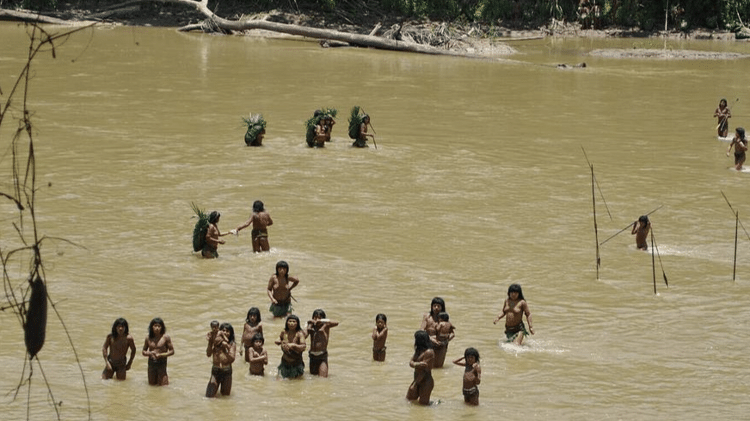 Os Mashco Piro às vezes atravessam o rio próximo a uma aldeia Yine