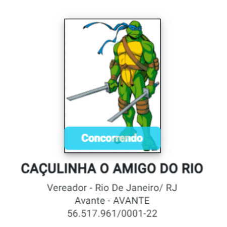 Candidato usa personagem das Tartarugas Ninja em candidatura