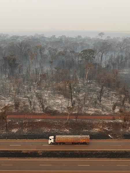 Drone mostra área queimada perto de Ribeirão Preto, em 24 de agosto