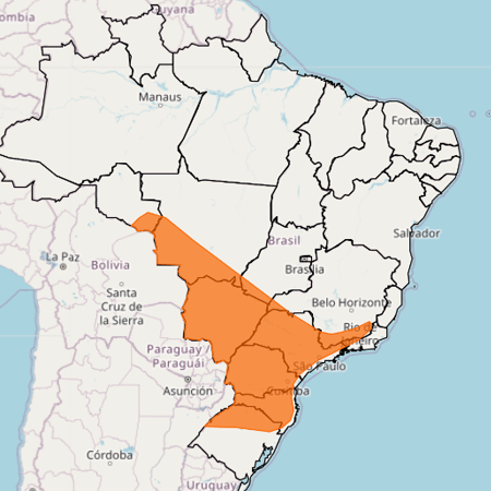 Inmet faz alerta para onda de calor até a próxima quarta-feira (21)