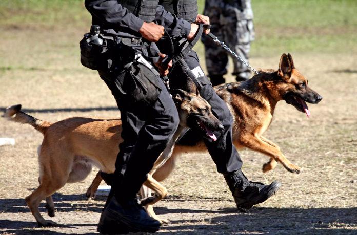 Polícia Militar