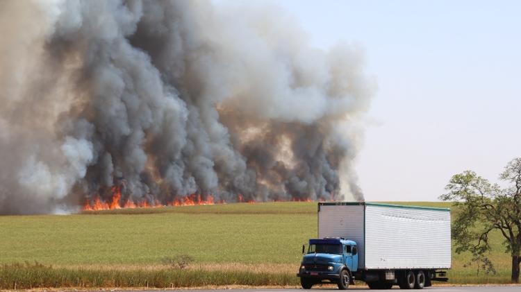 Fogo em canavial cria nuvem de fumaça às margens da Rodovia Anhanguera, próximo à cidade de Orlândia