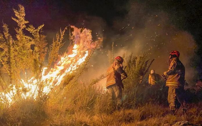 Queimadas no território fluminense - CBMRJ e O DIA